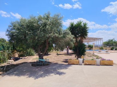 Villa · Wiederverkauf - Montesinos · Los Montesinos · Alicante · Spanien