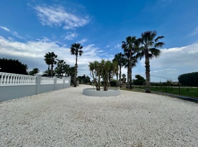 Villa · Wiederverkauf - Catral · Alicante · Spanien