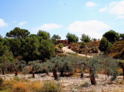 finca · Resale - Gea y Truyols · Gea Y Truyols · Murcia · Spain