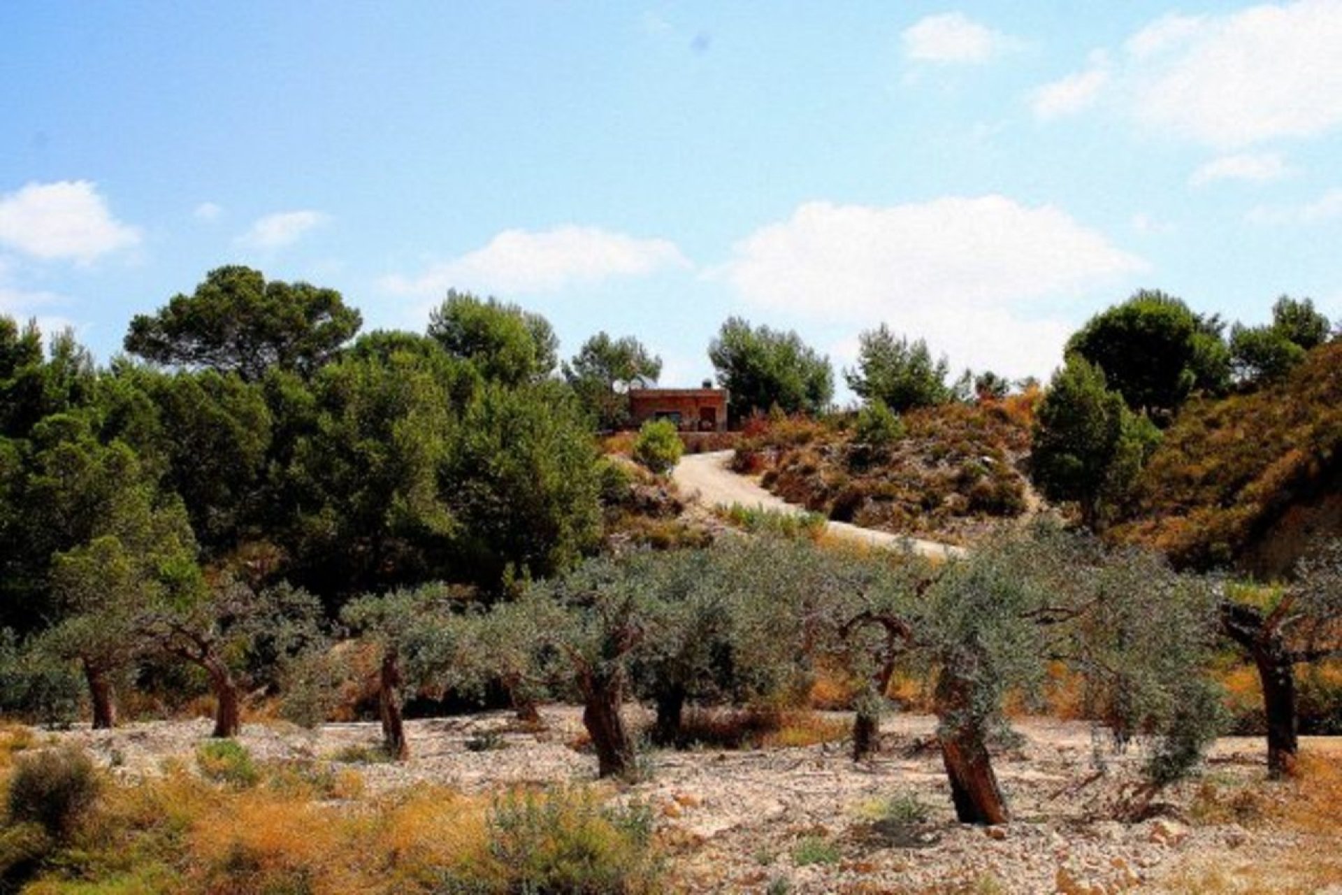 Resale - finca - Gea y Truyols - Costa Calida