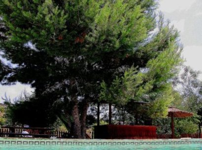 finca · Resale - Gea y Truyols · Gea Y Truyols · Murcia · Spain