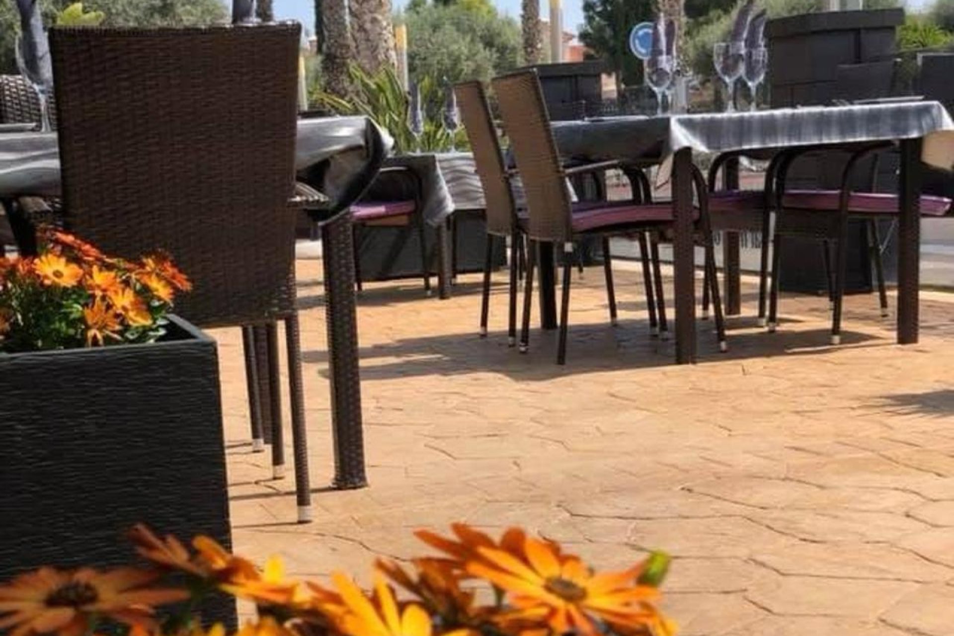 Reventa - Comercial - Guardamar