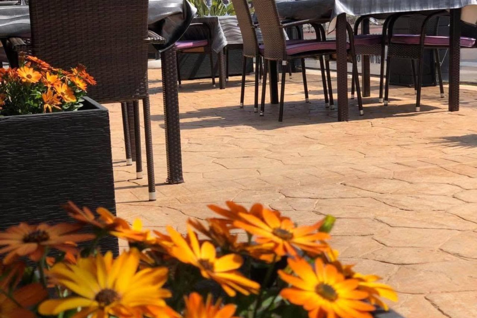 Reventa - Comercial - Guardamar