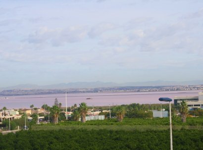 Adosado · Reventa - Orihuela Costa · Los Altos · Alicante · España
