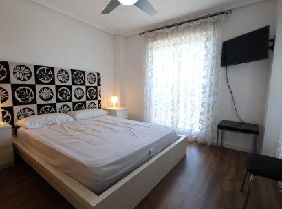 Penthouse · Resale - Mil Palmeras · Alicante · Spain