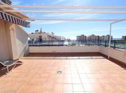 Penthouse · Resale - Mil Palmeras · Alicante · Spain