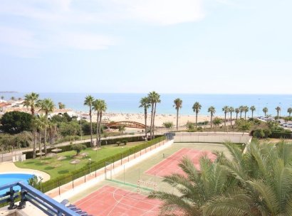 Duplex penthouse · Herverkoop - Mil Palmeras · Alicante · Spanje