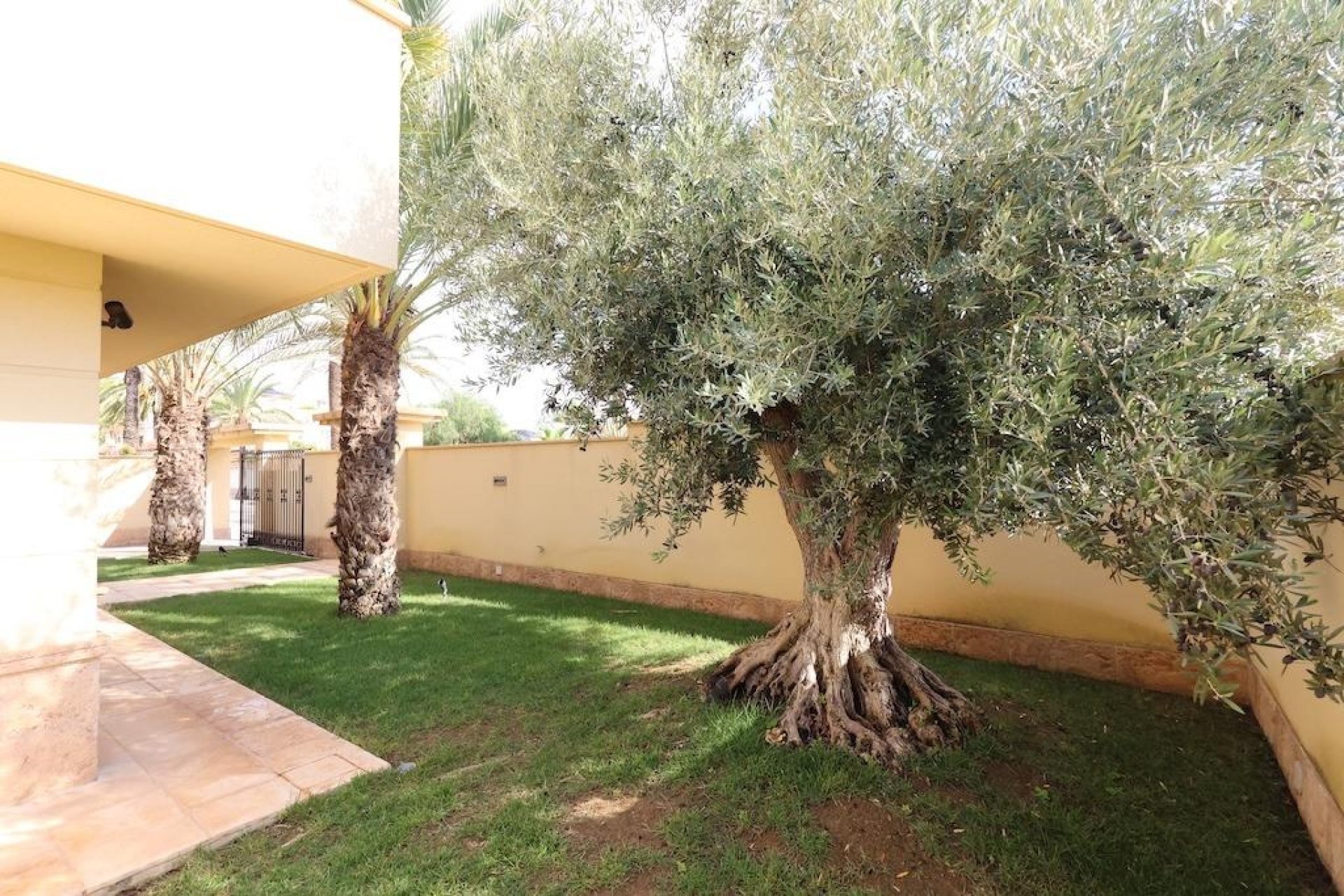 Herverkoop - Villa - Cabo Roig - Costa Blanca South