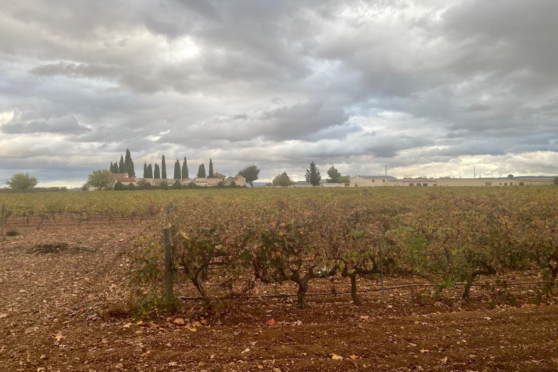 Herverkoop - Overig vastgoed - Albacete