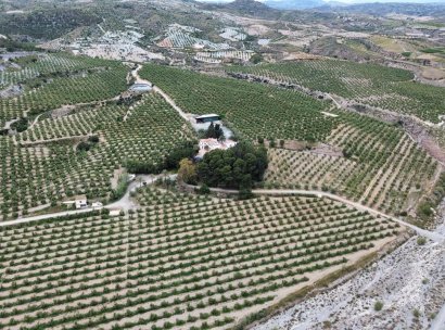 Landbouwgrond · Herverkoop - Puerto Lumbreras · Nogalte · Murcia · Spanje