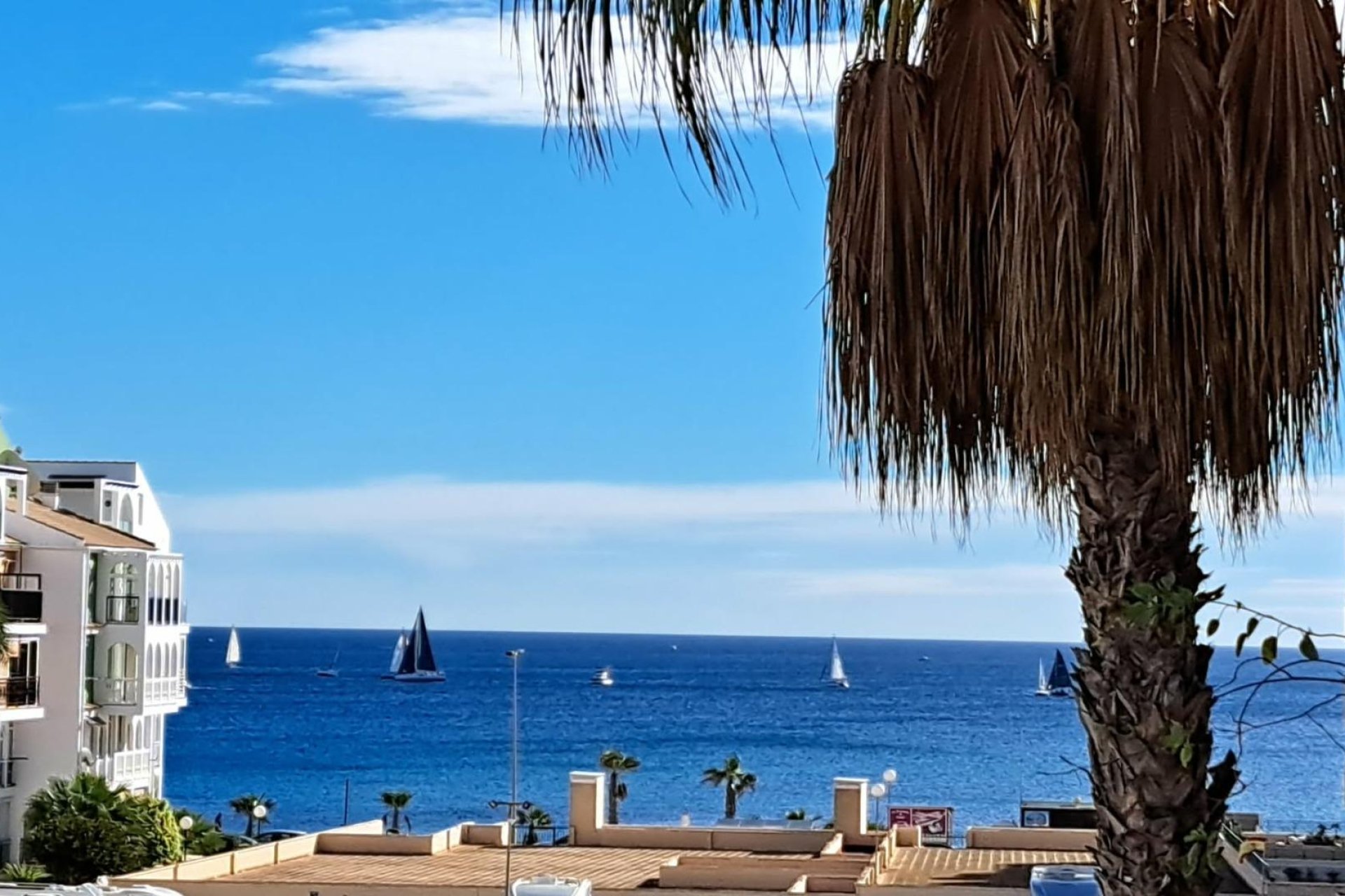 Herverkoop - Appartement - Torrevieja - Costa Blanca South