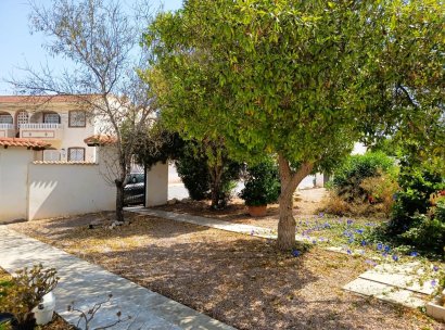 Bungalow · Herverkoop - Torrevieja · La Siesta - El Salado - Torreta · Alicante · Spanje