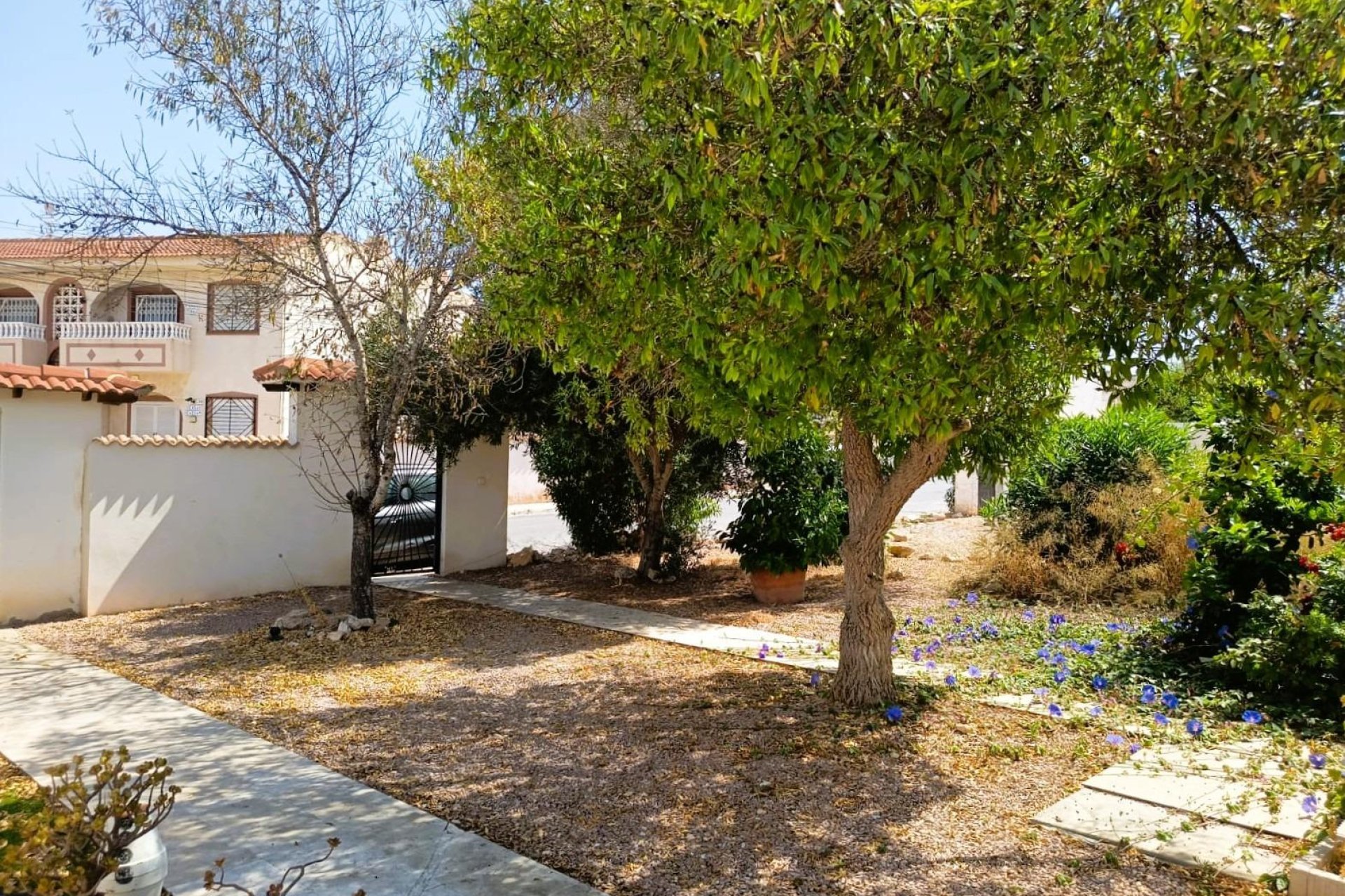 Herverkoop - Bungalow - Torrevieja - Costa Blanca South