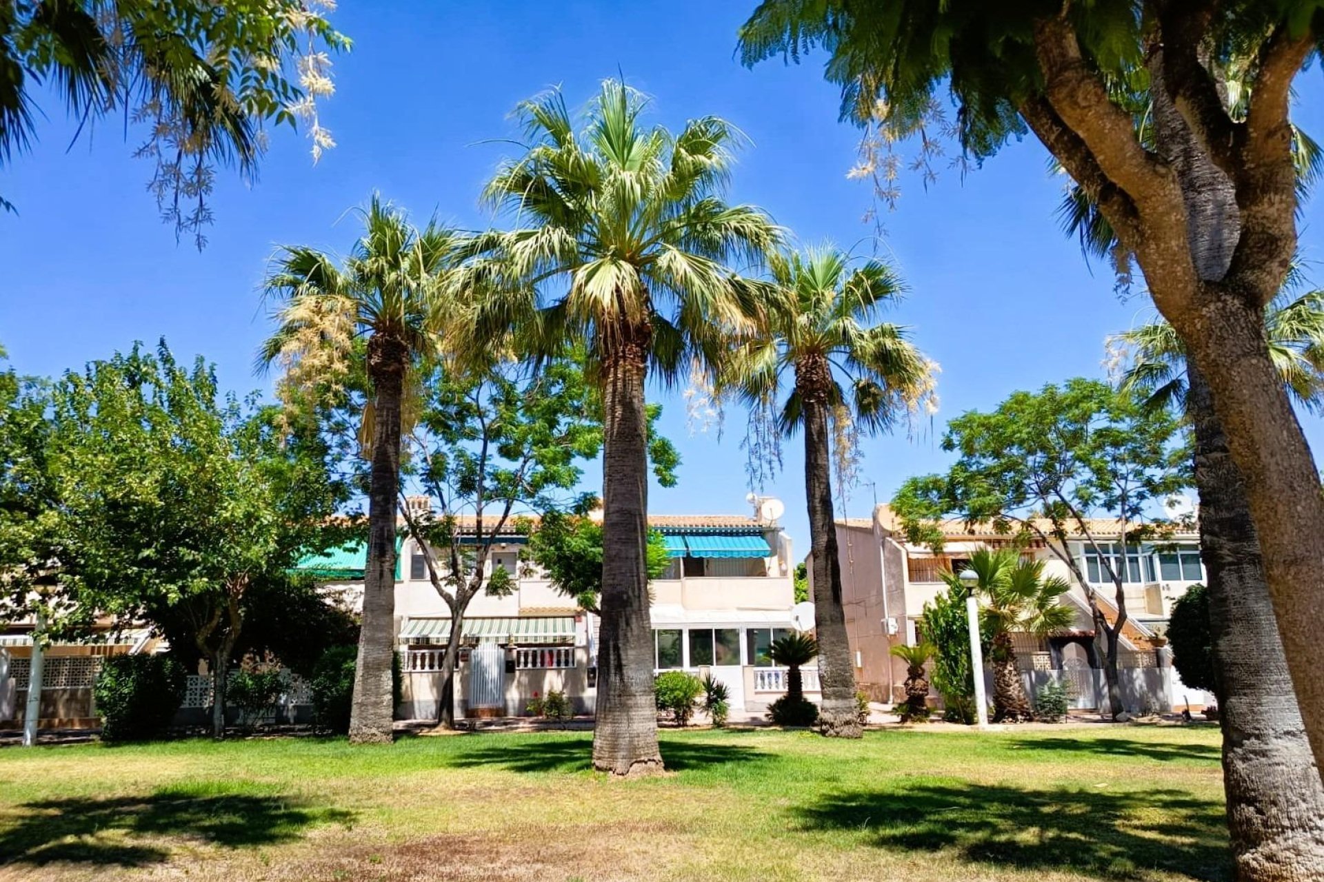Herverkoop - Bungalow - Orihuela Costa - Costa Blanca South