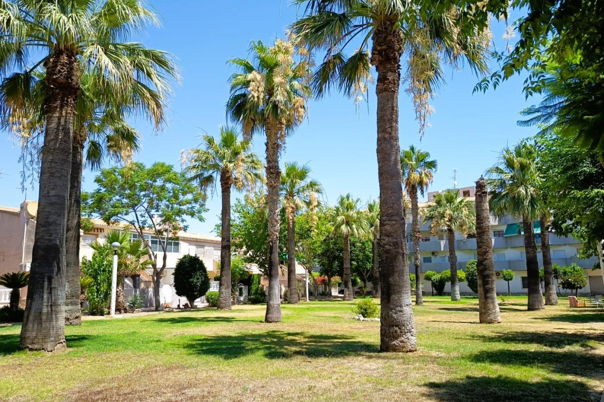 Herverkoop - Bungalow - Orihuela Costa - Costa Blanca South