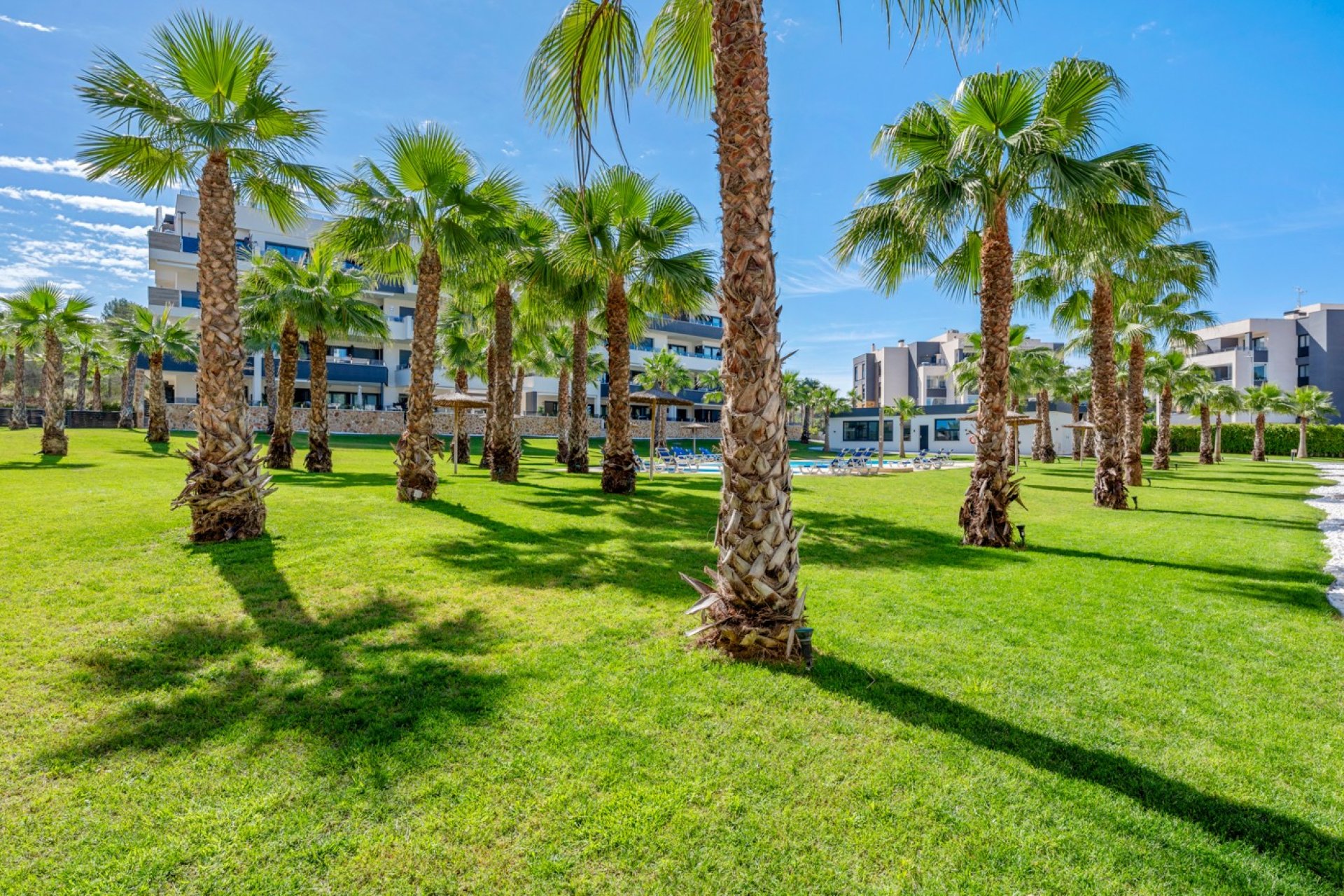 Herverkoop - Appartement - Orihuela Costa