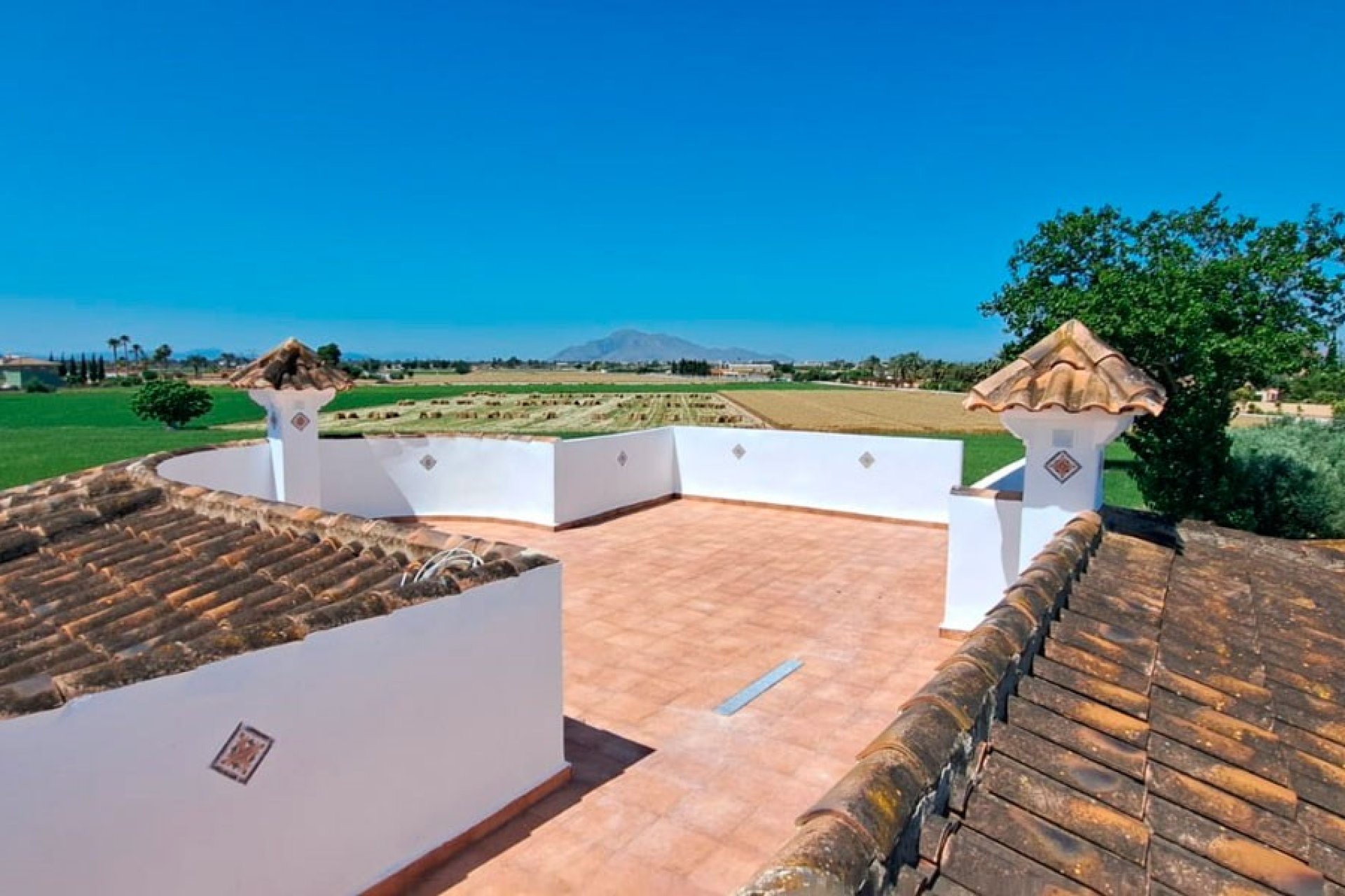 Resale - Finca - Catral