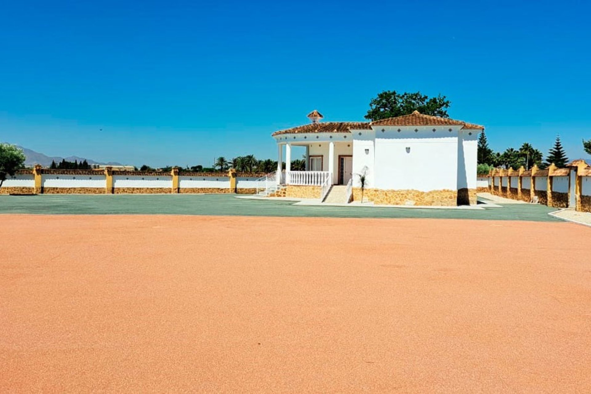 Resale - Finca - Catral
