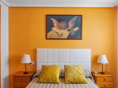 Appartement · Herverkoop - Torrevieja · Estacion de autobuses · Alicante · Spanje