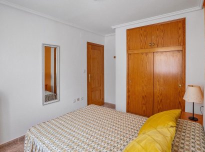 Appartement · Herverkoop - Torrevieja · Estacion de autobuses · Alicante · Spanje