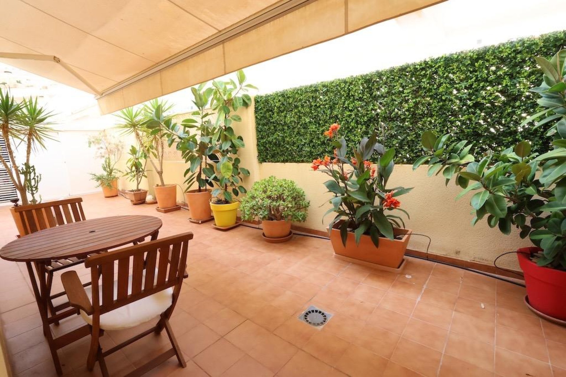 Herverkoop - Appartement - Orihuela Costa - Costa Blanca South