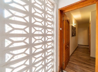 Appartement · Herverkoop - Torrevieja · Playa de los Naufragos · Alicante · Spanje