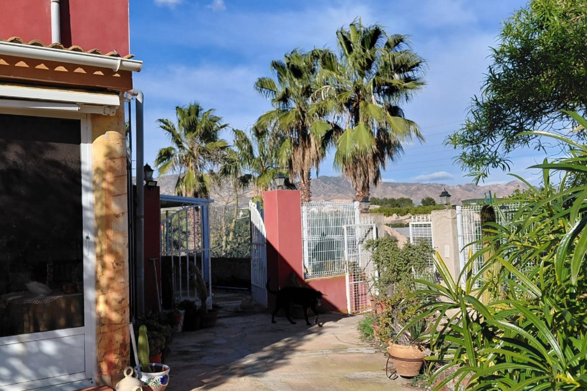 Herverkoop - Finca - La Murada