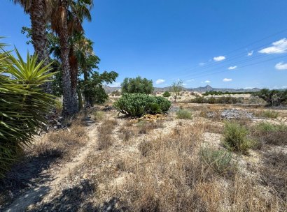 Finca · Herverkoop - La Murada · Alicante · Spanje