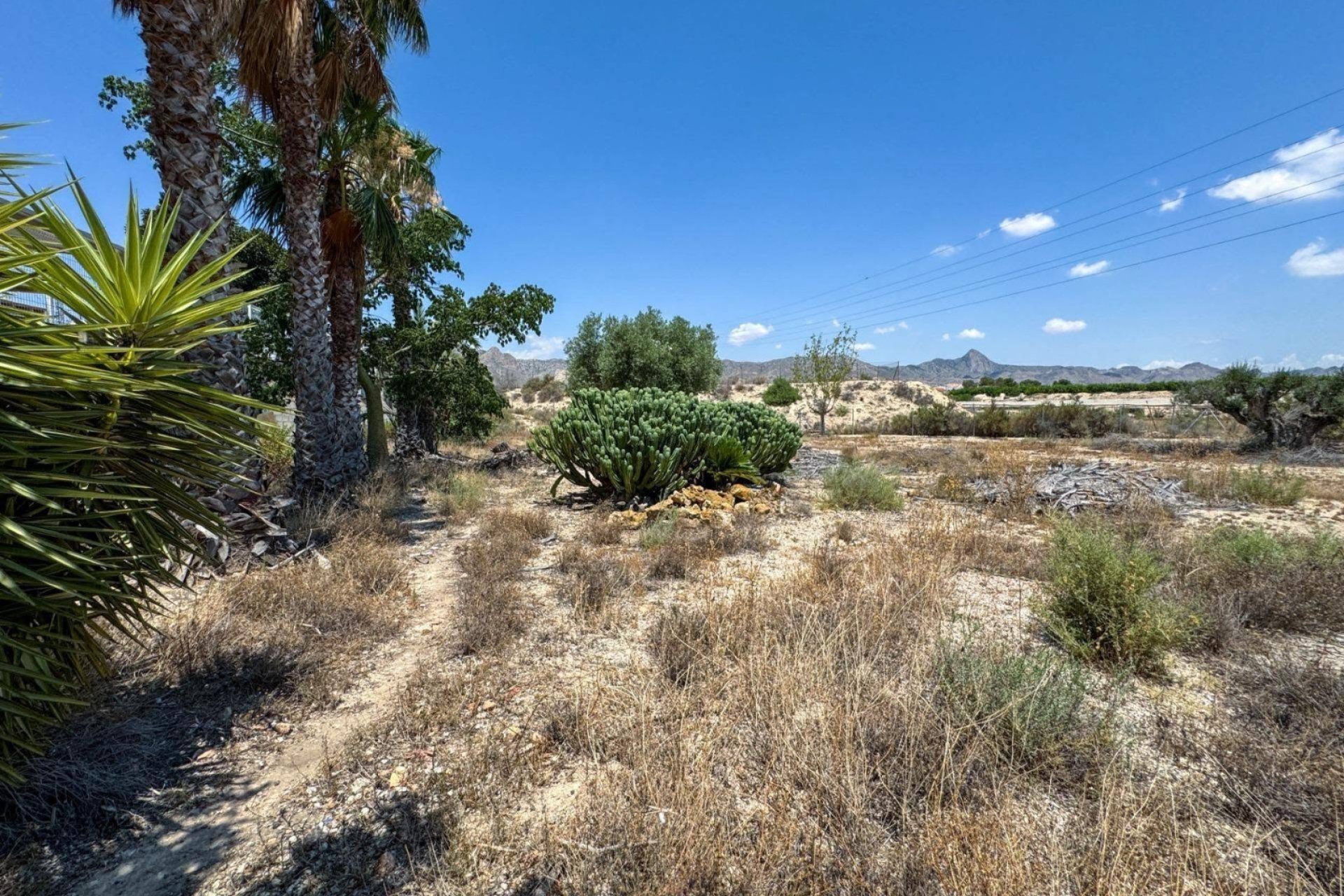 Herverkoop - Finca - La Murada
