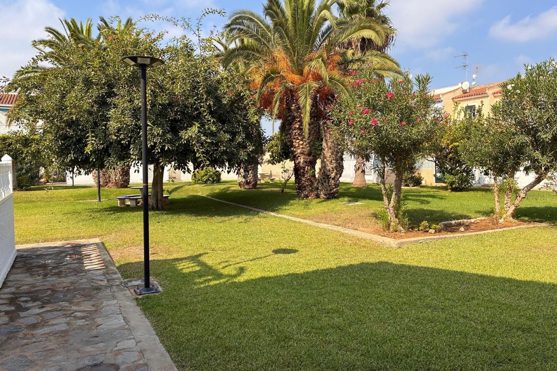 Herverkoop - Appartement - Orihuela Costa