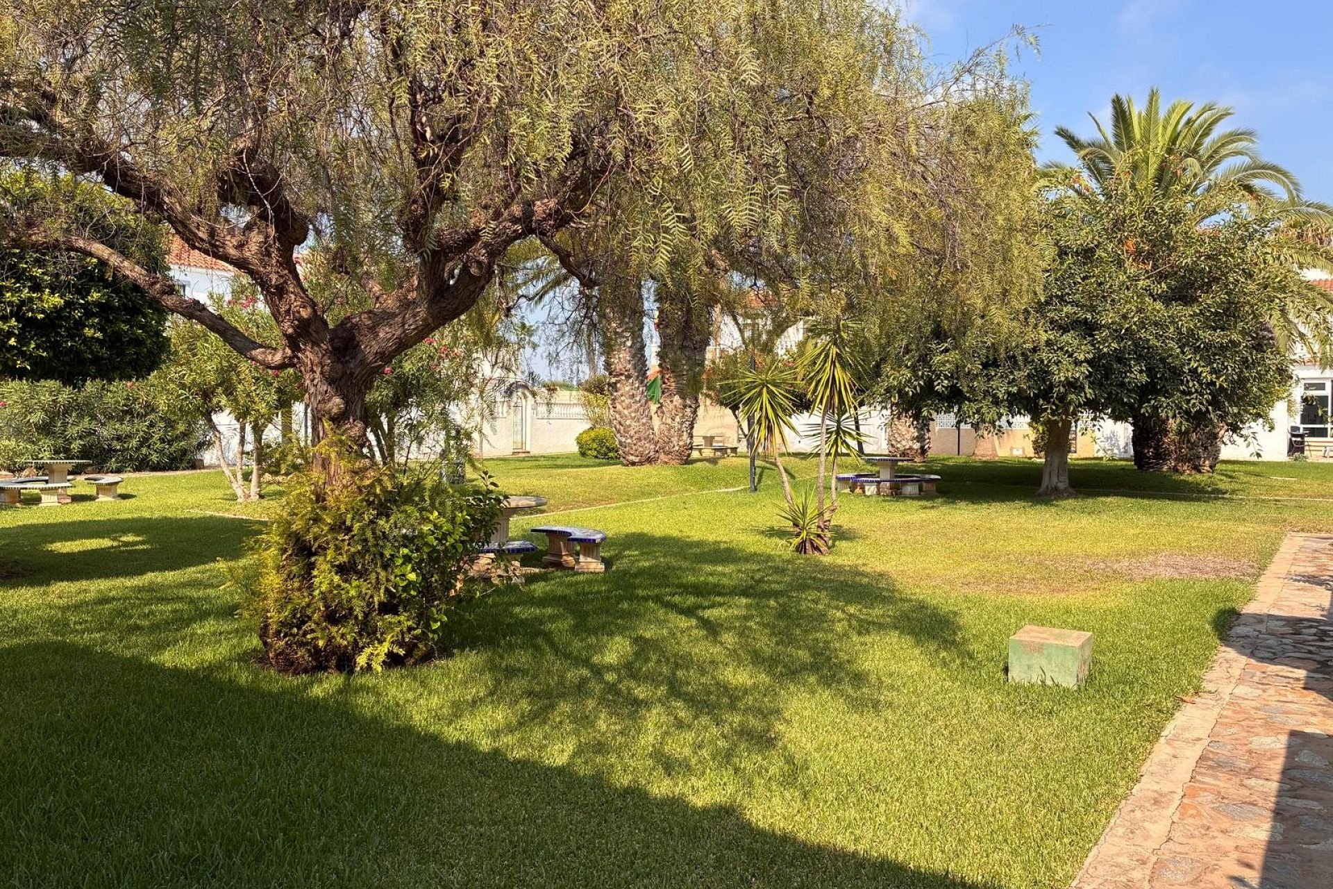 Herverkoop - Appartement - Orihuela Costa
