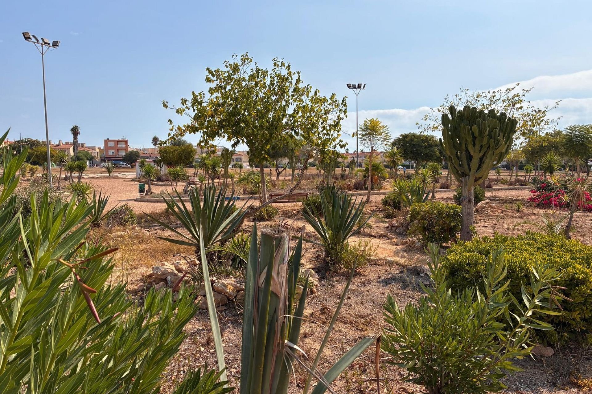 Herverkoop - Appartement - Orihuela Costa