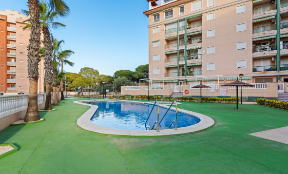 Resale - Apartment - Guardamar del Segura - Guardamar