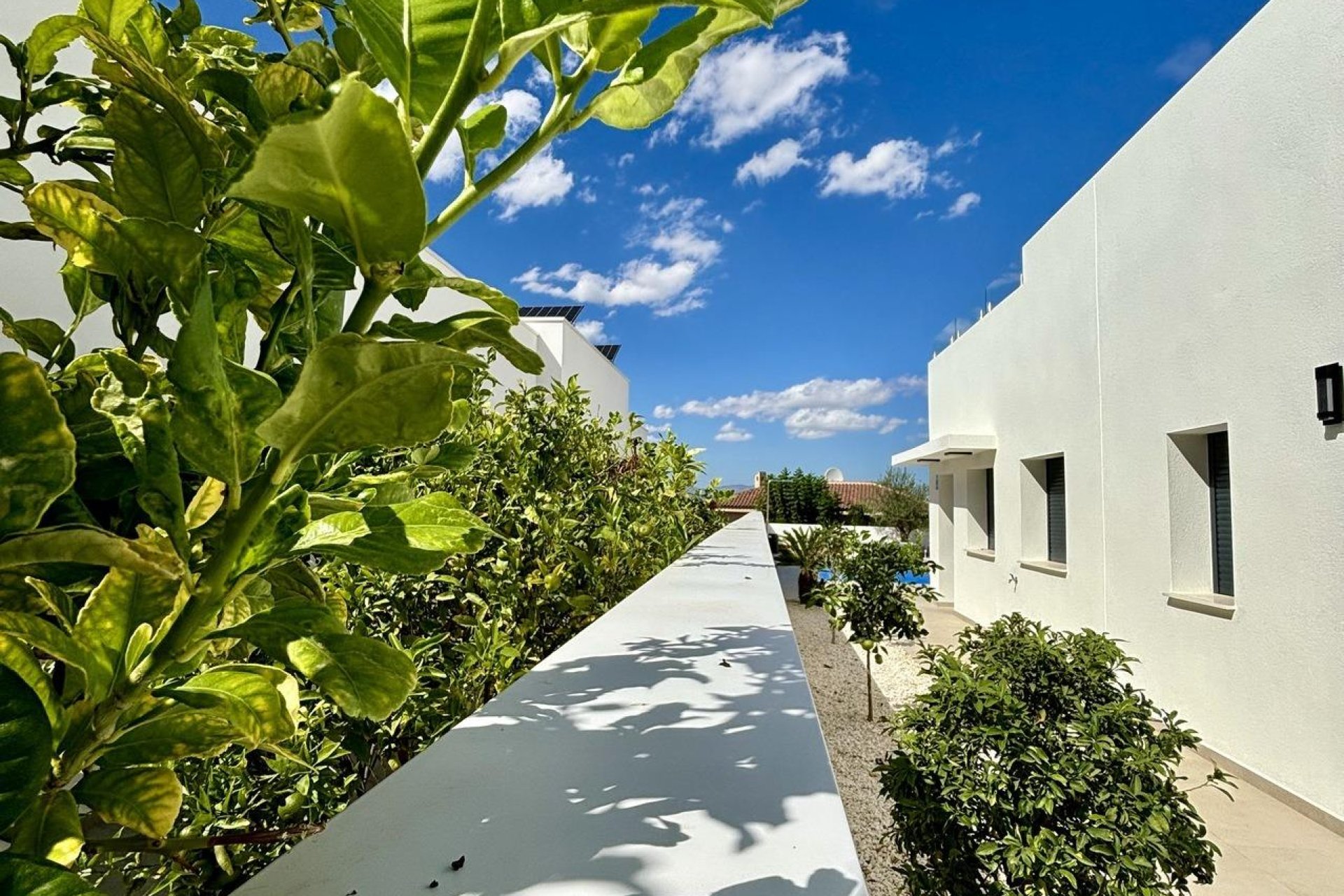 Nieuwbouwwoningen - Woning - Benijofar