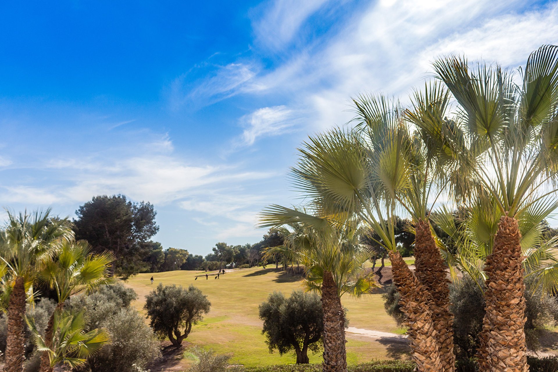 Herverkoop - Appartement - Orihuela Costa