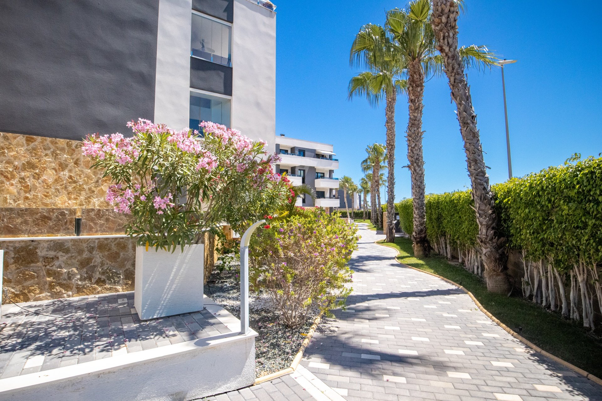 Herverkoop - Appartement - Los Altos