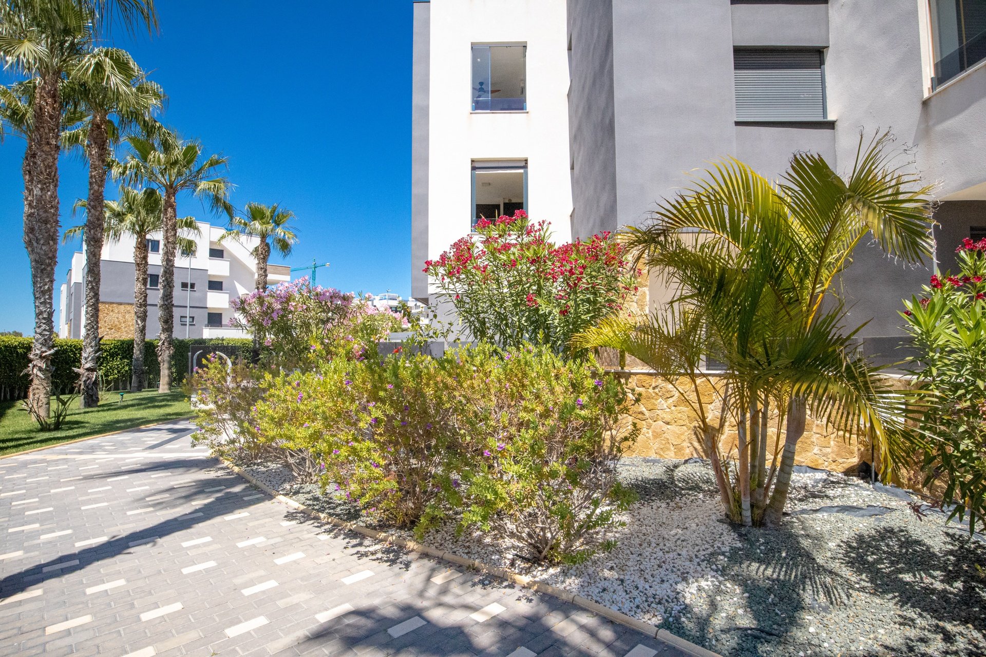 Herverkoop - Appartement - Los Altos