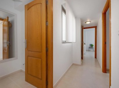Appartement · Herverkoop - Torrevieja · Alicante · Spanje