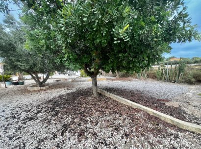 Finca · Herverkoop - San Fulgencio · Alicante · Spanje