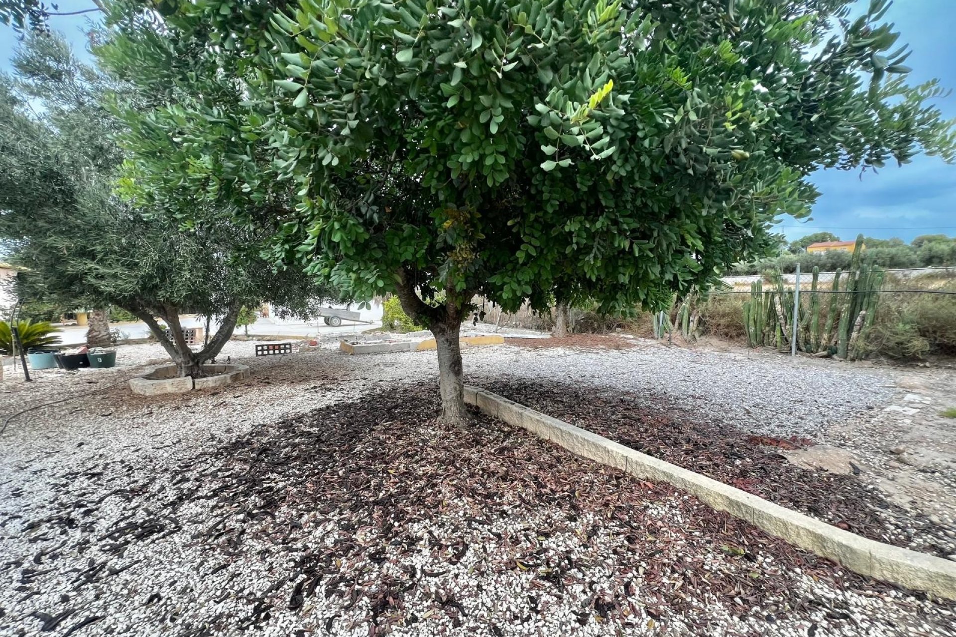 Herverkoop - Finca - San Fulgencio