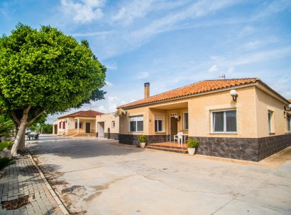 Casa · Reventa - Orihuela · La Matanza · Alicante · España
