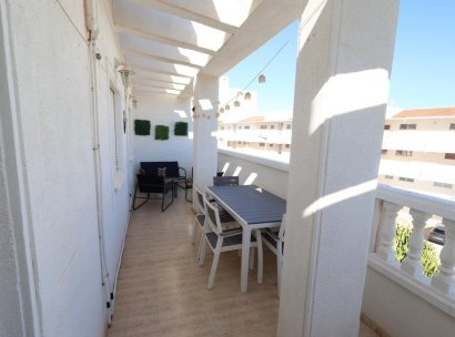 Appartement · Herverkoop - Torrevieja · Estacion de autobuses · Alicante · Spanje