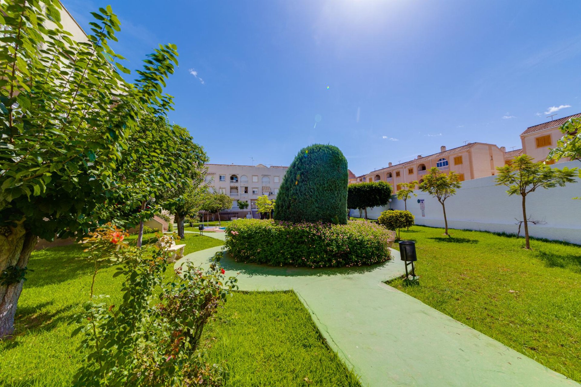 Herverkoop - Appartement - Torrevieja