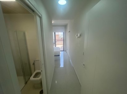 Wohnung · Wiederverkauf - Los Balcones · Alicante · Spanien