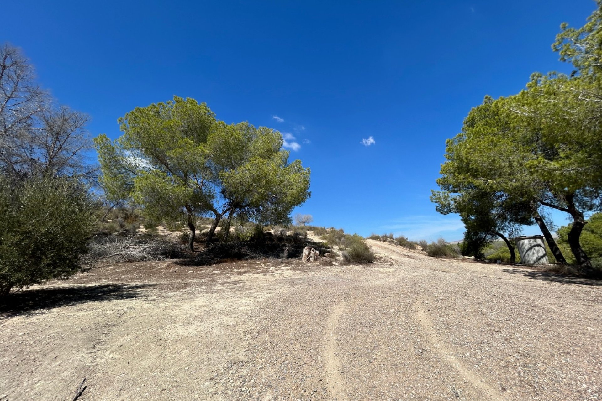 Herverkoop - Finca - Torremendo