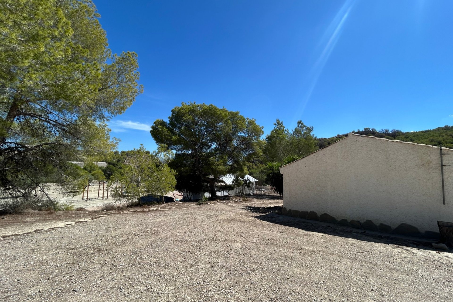 Herverkoop - Finca - Torremendo