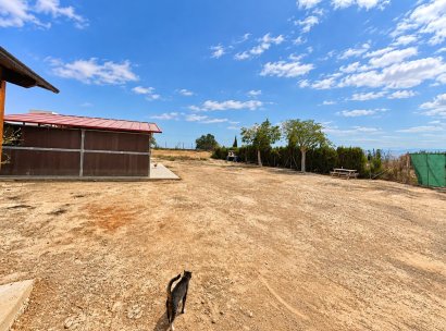 Finca · Herverkoop - San Fulgencio · Alicante · Spanje