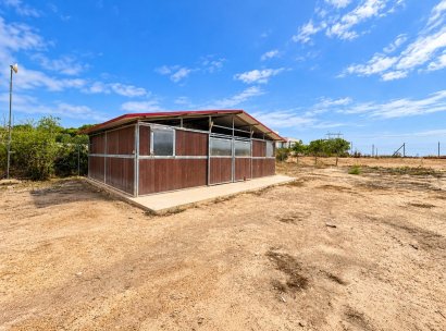 Finca · Herverkoop - San Fulgencio · Alicante · Spanje