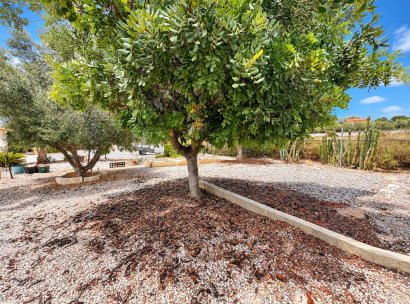 Finca · Herverkoop - San Fulgencio · Alicante · Spanje