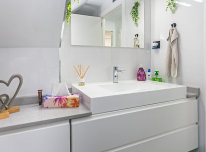 House · Resale - Mil Palmeras · Riomar · Alicante · Spain